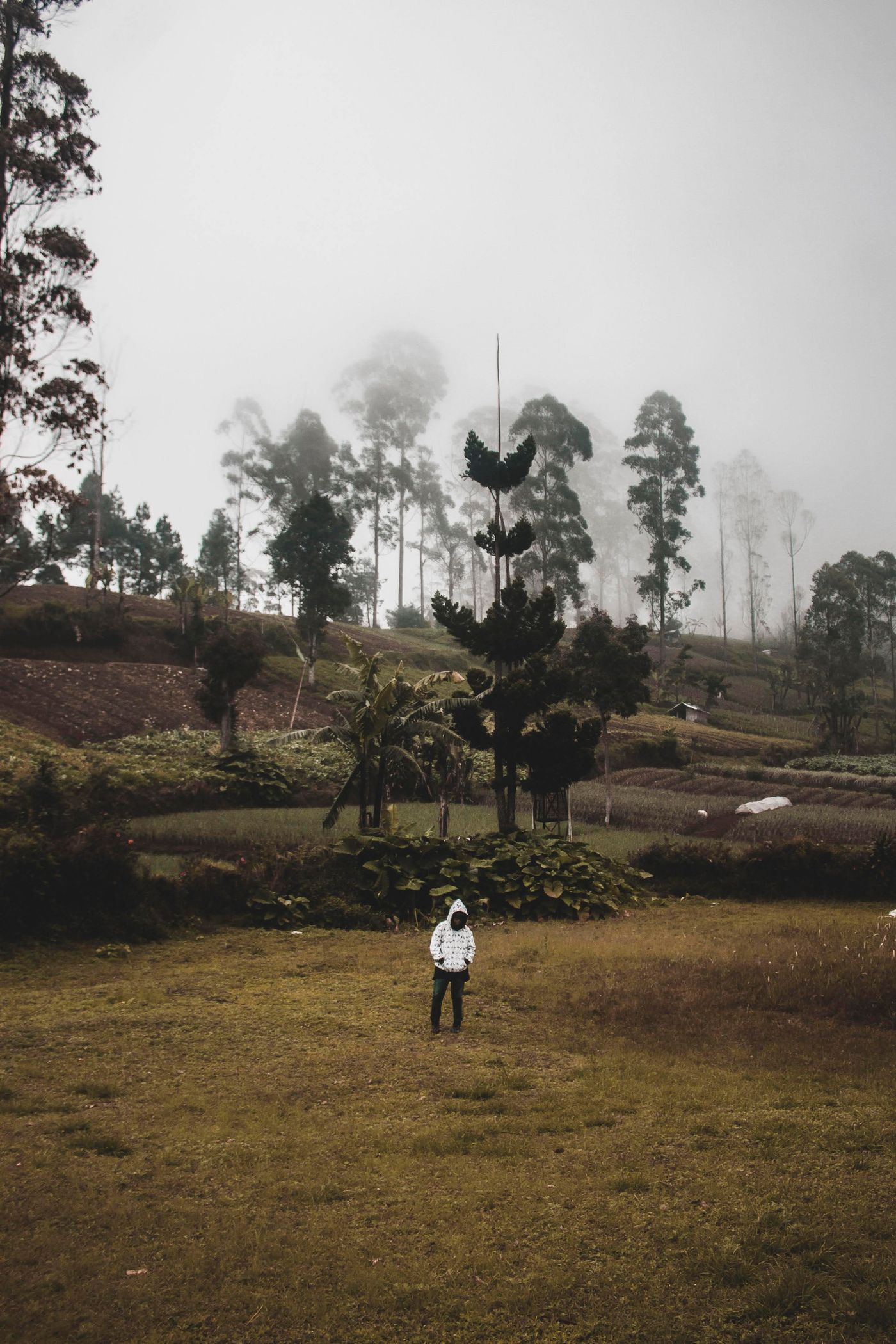 Solitary figure in a misty forest — the hidden inner landscape of shadow work